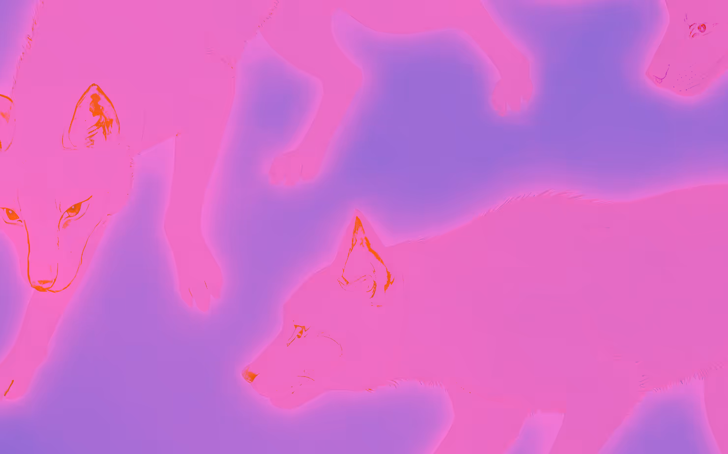 Energy Chronotypes Wolf