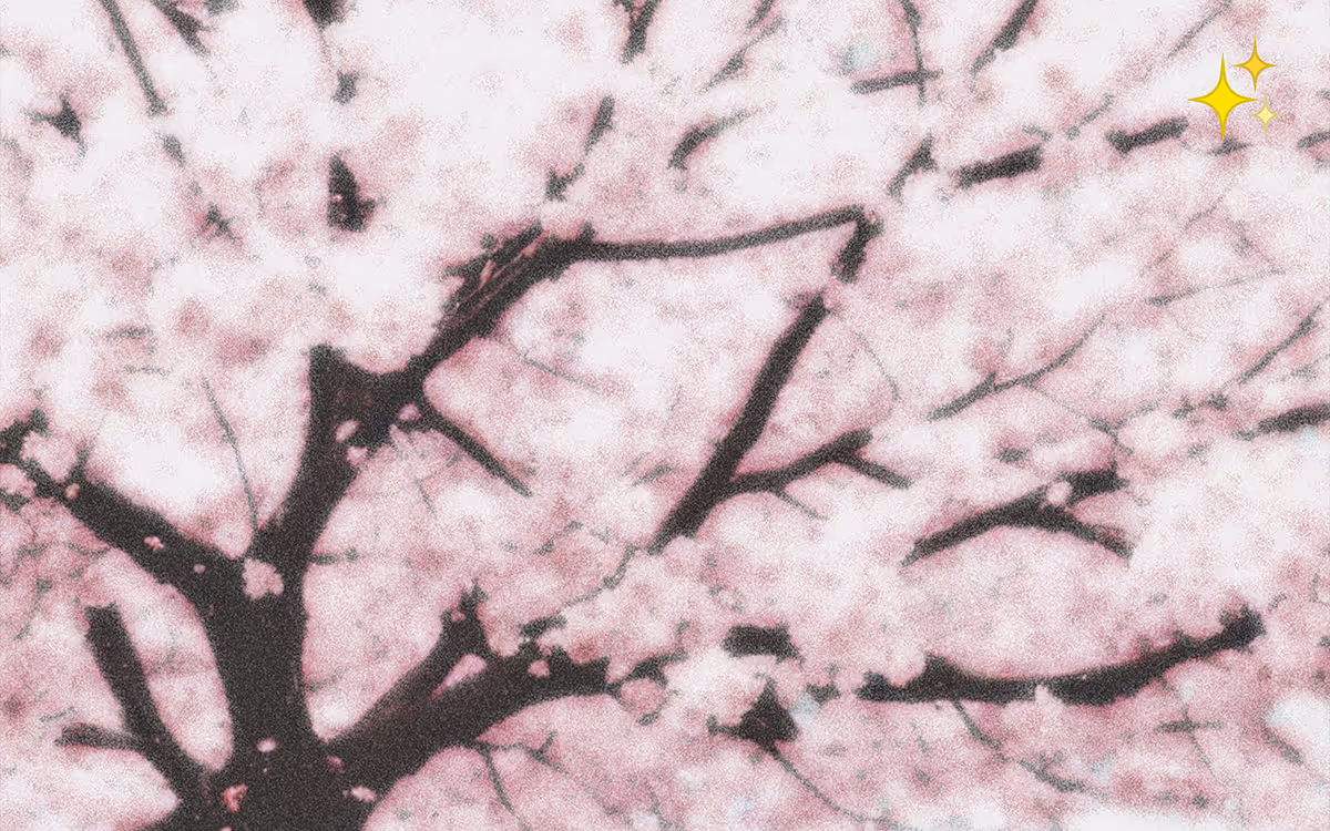 Post cover image