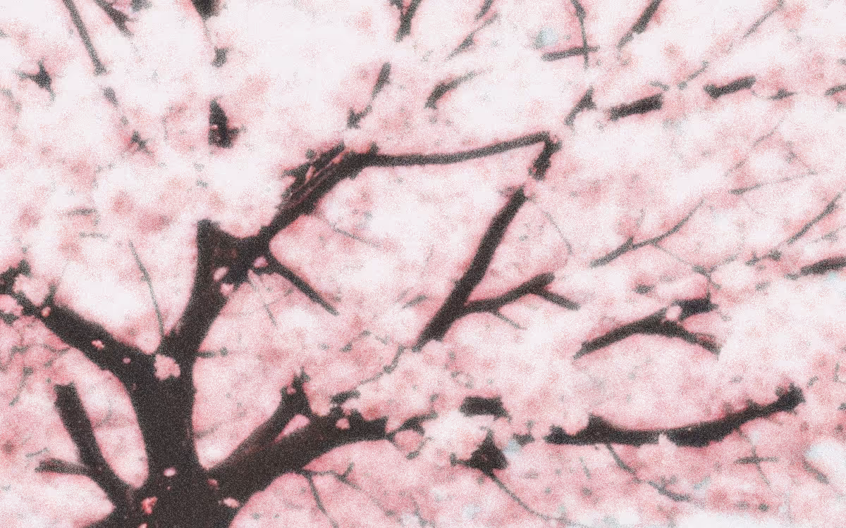 Time-blocking method | Timestripe