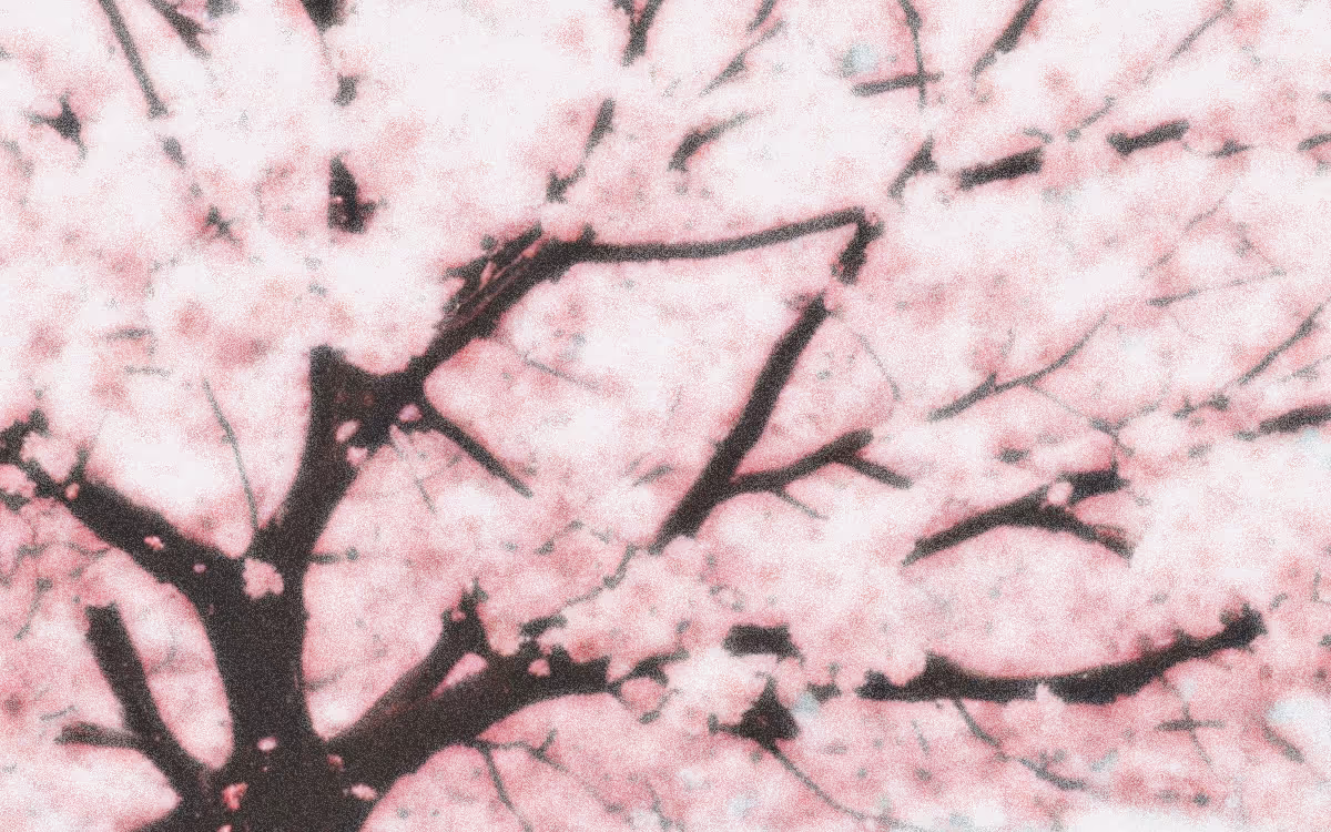 The Trend of Returning to the Old Internet | Timestripe