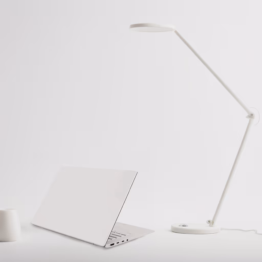 Desk Lamp with Adjustable Light
