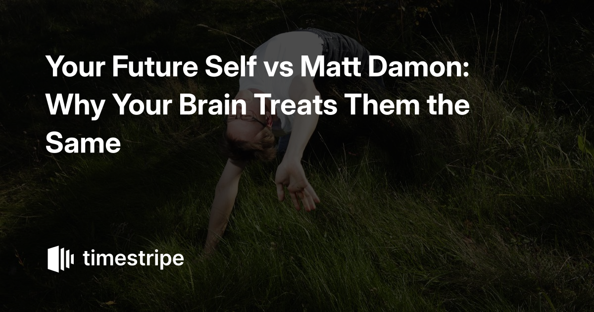 timestripe.com image